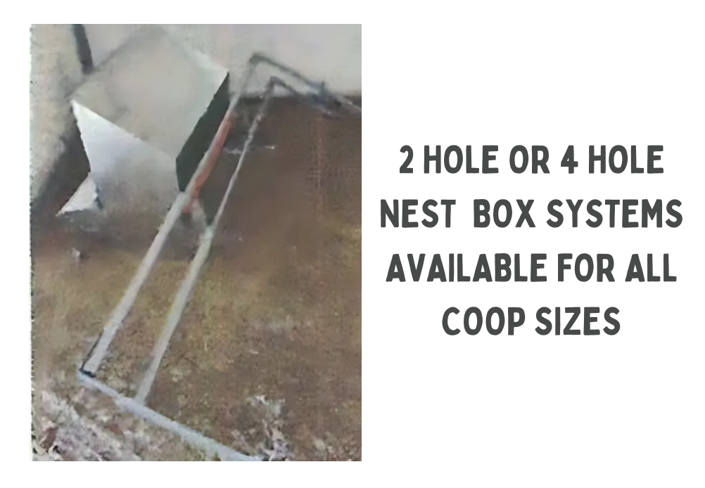 A metal nest box system with two upright entry points on a metallic frame, partially installed on a concrete surface, with text indicating it is available in 2-hole or 4-hole sizes for various coop sizes.