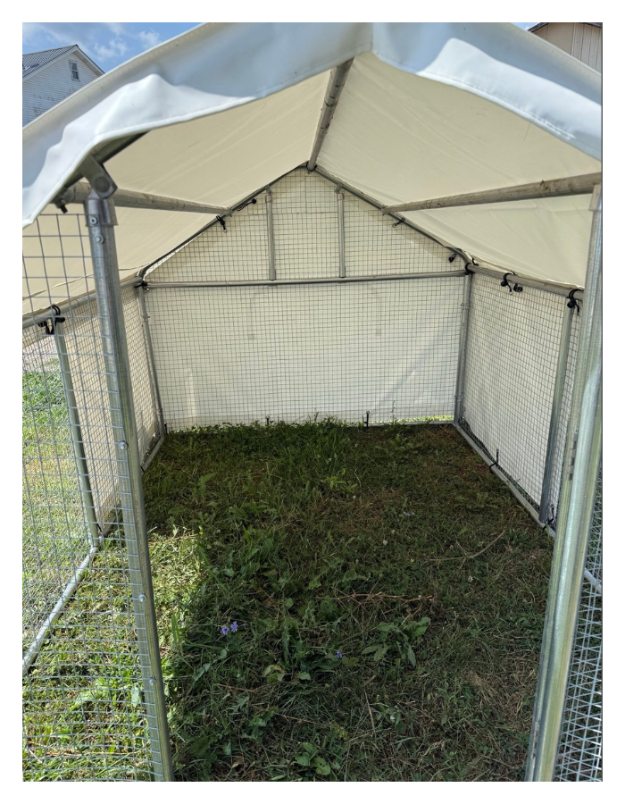A small, portable animal enclosure with a metal frame, mesh sides, and a fabric roof, sitting on grass outdoors.