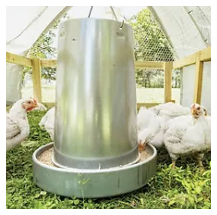 Chickens inside a covered outdoor poultry enclosure with a large silver waterer in the center.