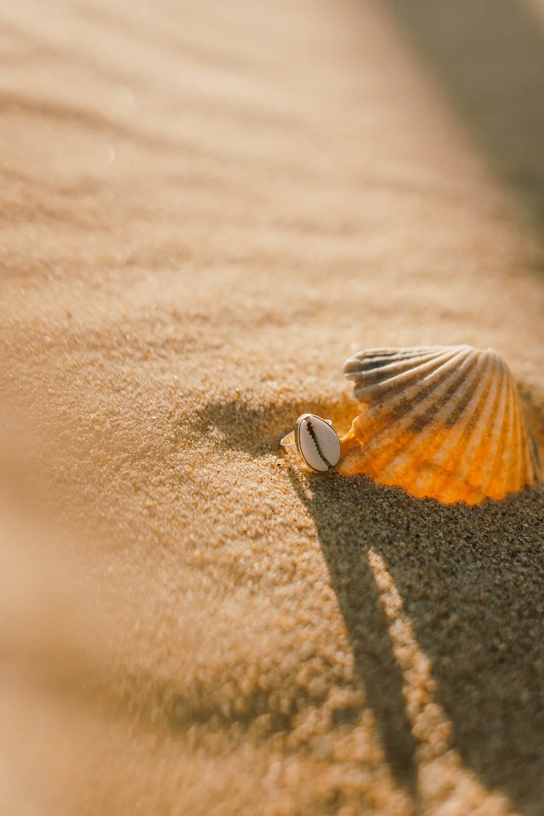 SEAWEED-5.jpg (cópia)