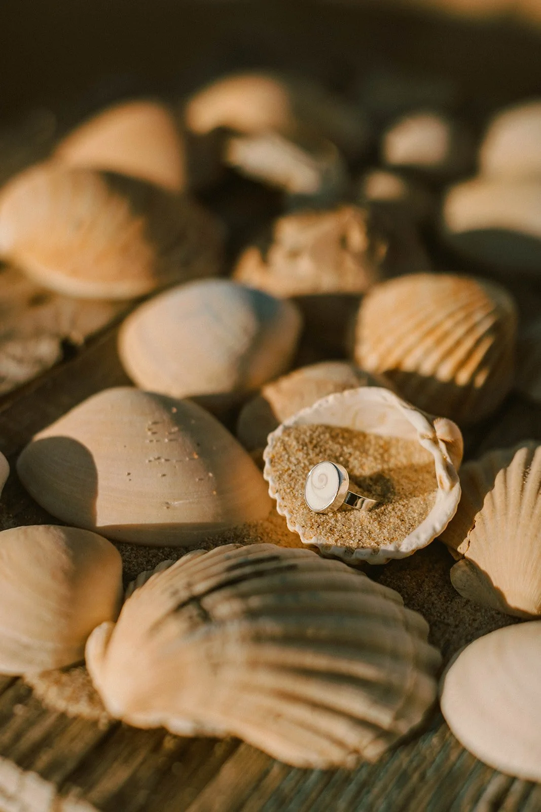 SEAWEED-4.jpg (cópia)