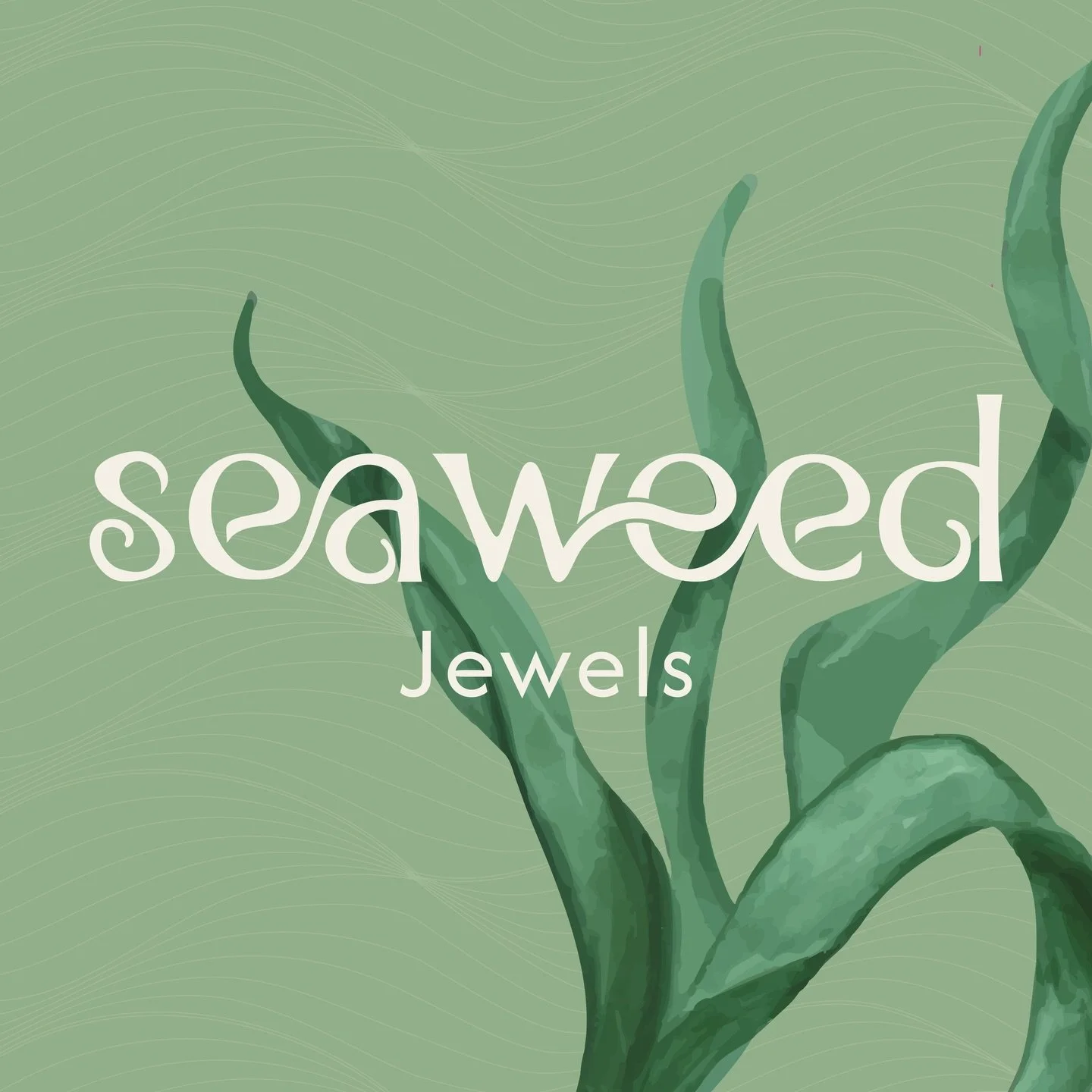 Ol&aacute;, Sereias!
Mais um pouco da nova identidade visual da Seaweed Jewels. ✨

Essa nova identidade visual representa uma nova fase que est&aacute; por vir. E eu estou ansiosa para dividir tudo com voc&ecirc;s. 🏝️👩🏽&zwj;💻⚒️👩🏽&zwj;🏭

Mais u