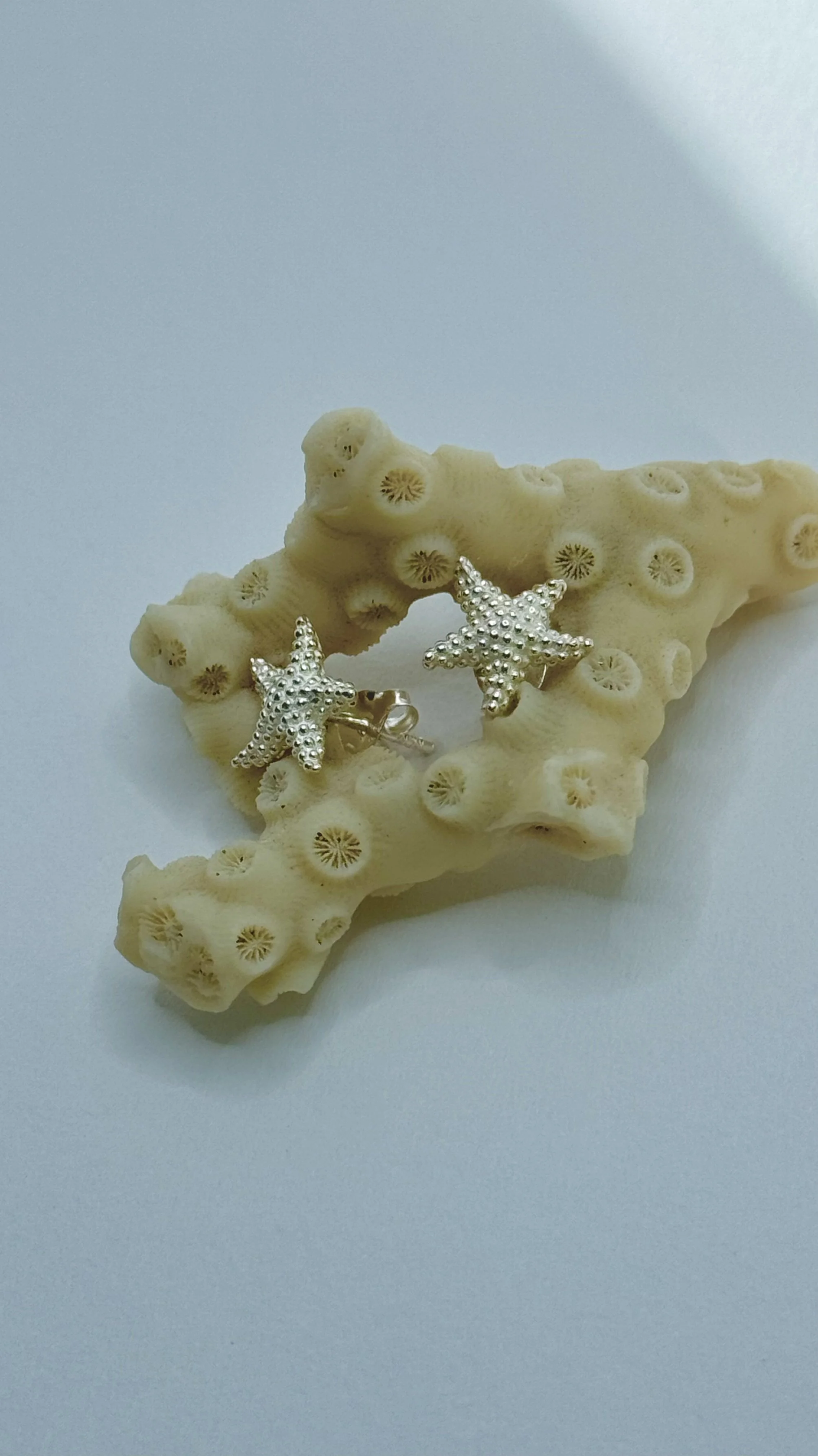 Starfish Earring