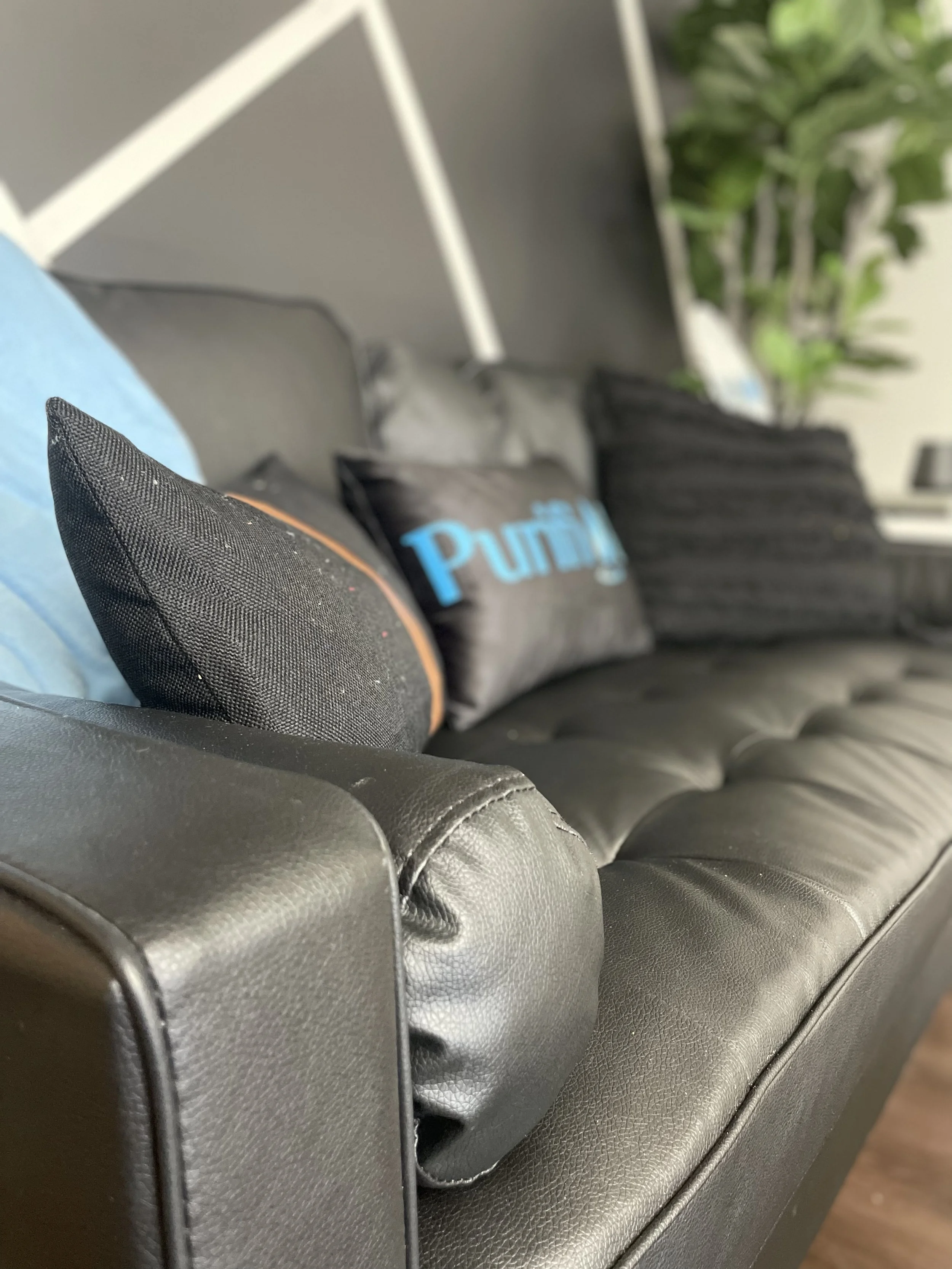 Black leather sofa with decorative pillows, one with blue text, in a stylish room with geometric wall design and indoor plant.