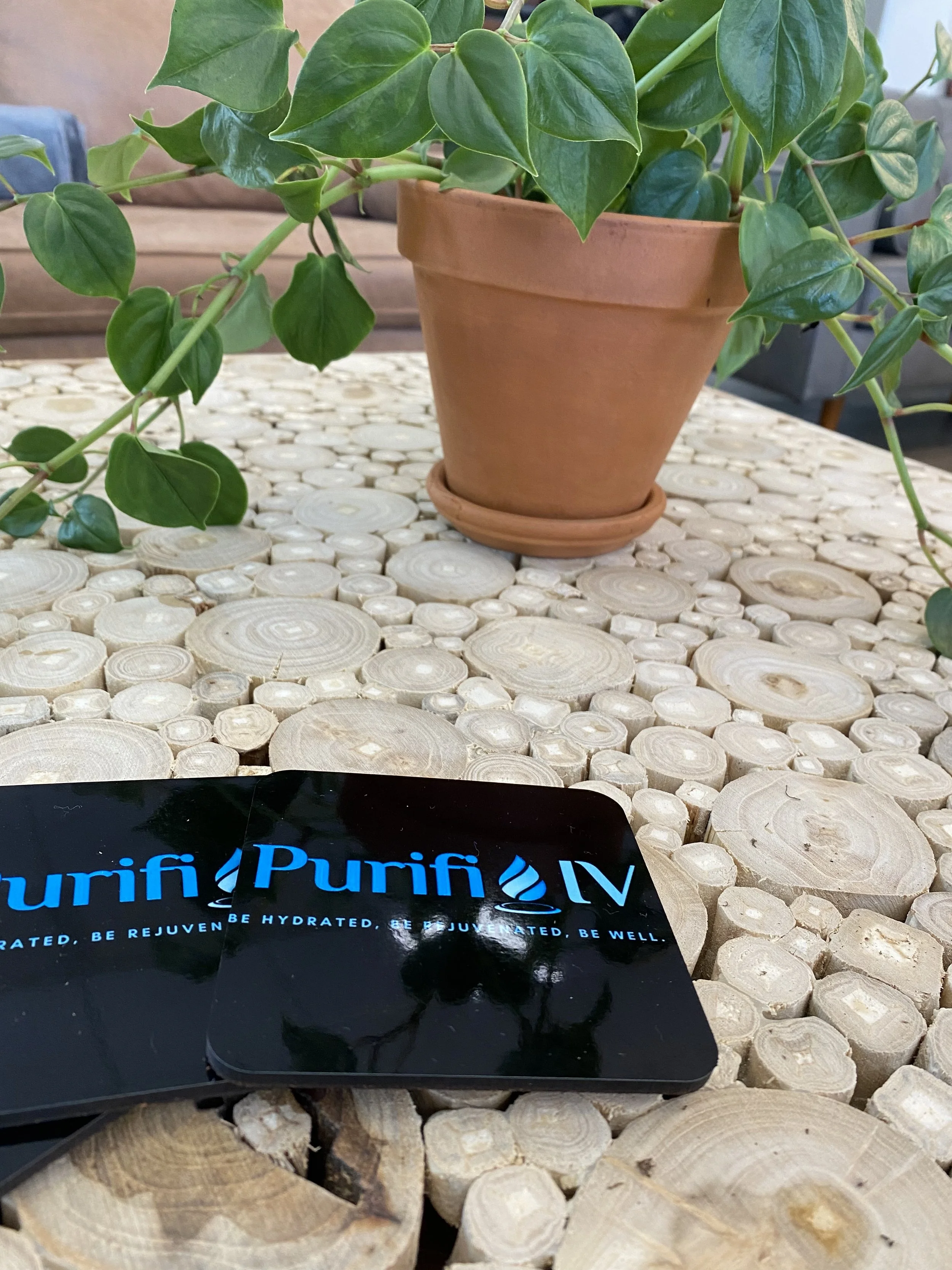 A potted plant with green leaves on a round table made of cut wooden sections. Two black cards with 'Purifi IV' and some text are on the table.