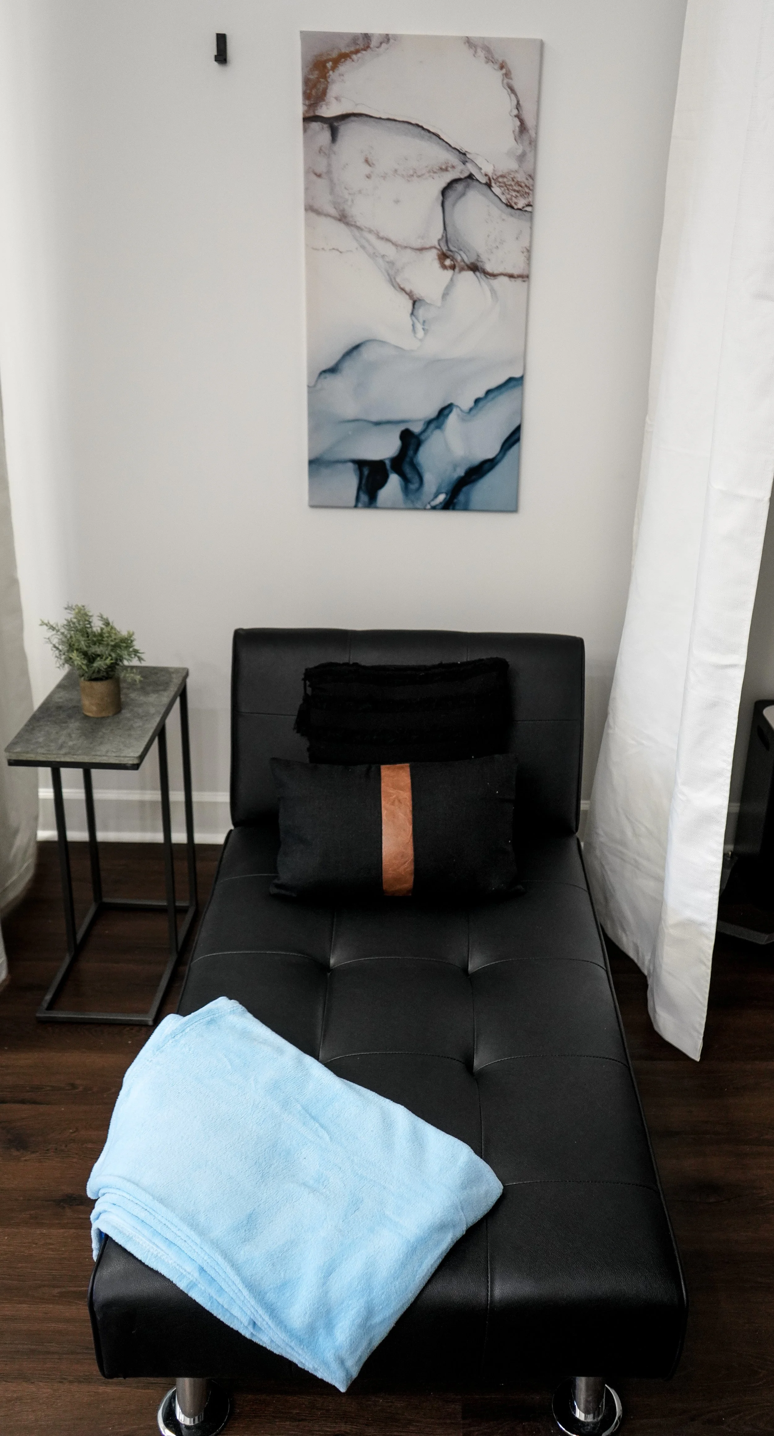 Black chaise lounge with blue blanket, abstract wall art, side table with plant.