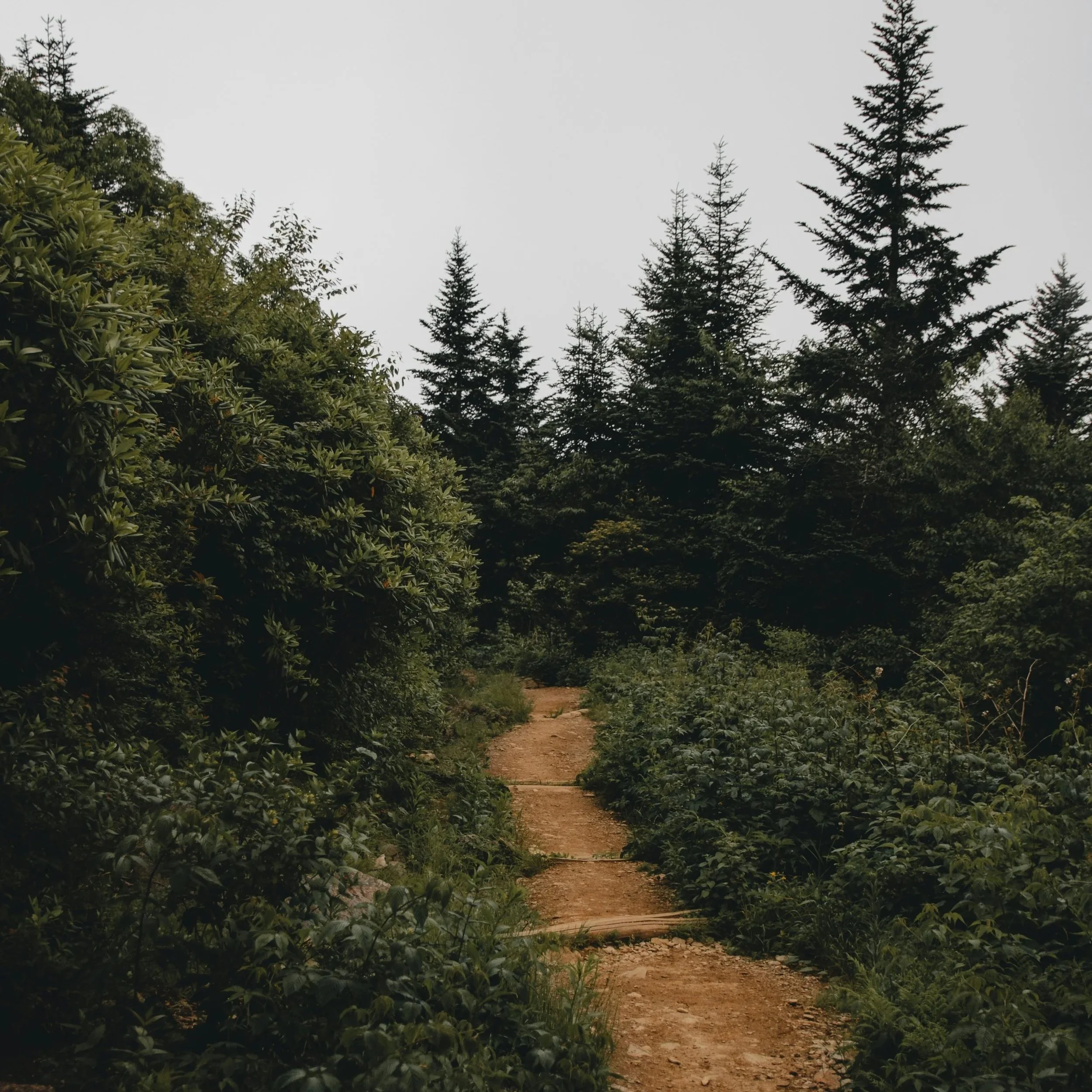 Giving Trends & What They Mean for Your Nonprofit