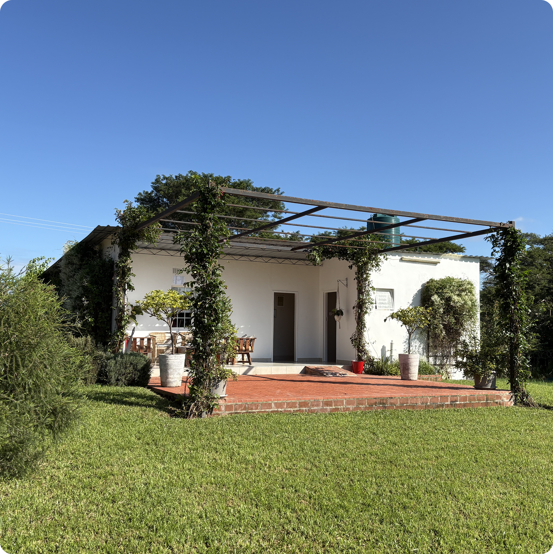 Movement Therapy Headquarters, a house with a brick patio, surrounded by potted plants and trees, on a bright sunny day.