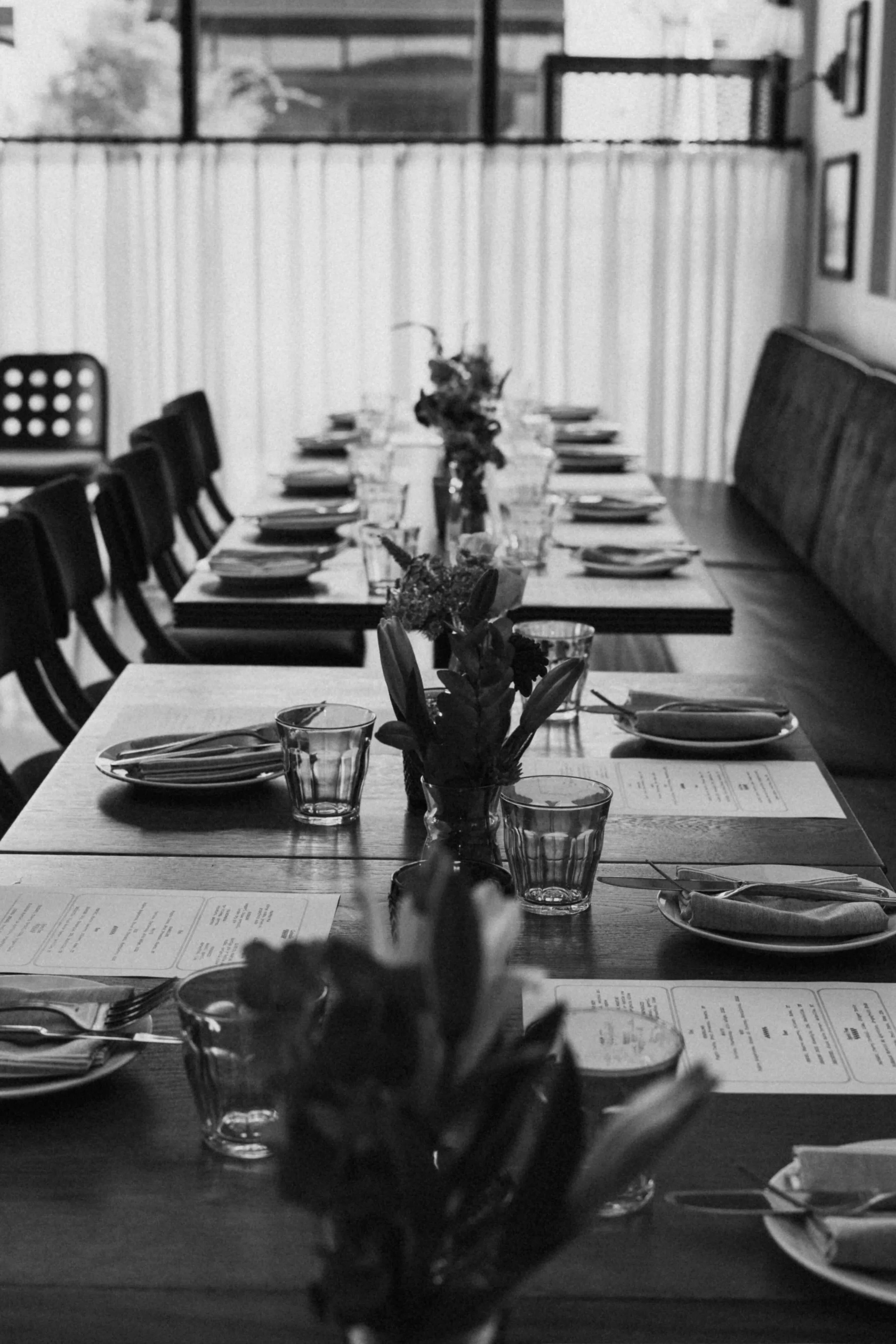 FINAL PENDELINO EDITS -September 25, 2025--18-07.jpeg