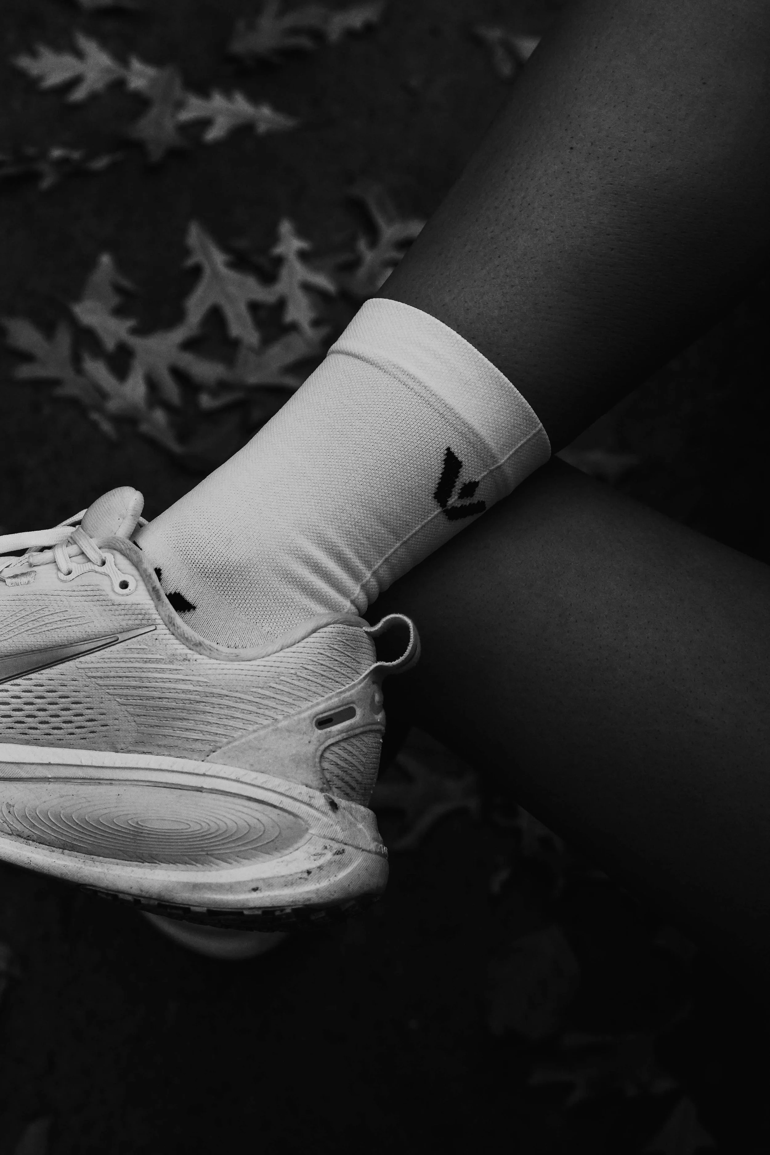 aug11 Shoot November 20 -November 20, 2025--09-43.jpeg