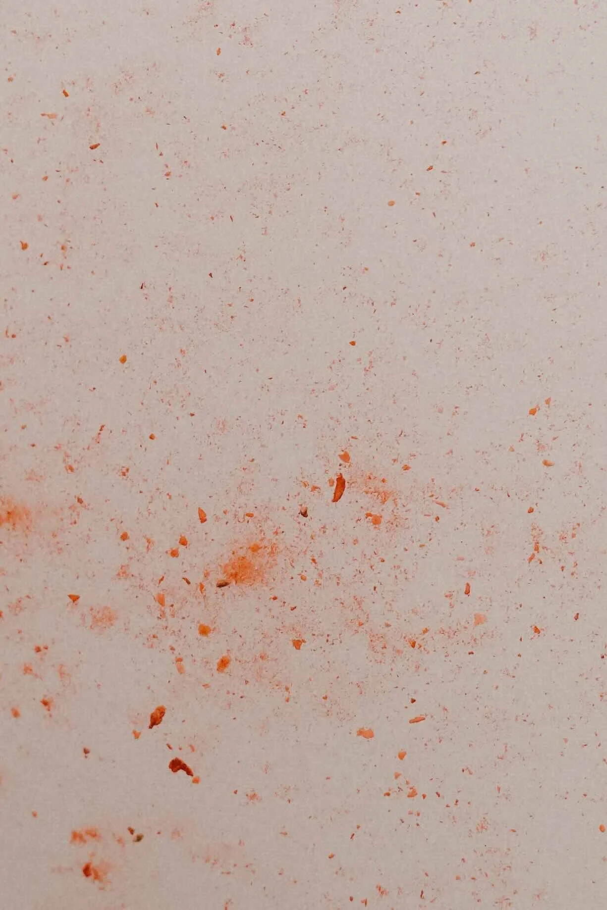 FLOSSIES-September 07, 2025--13-16-4.jpeg