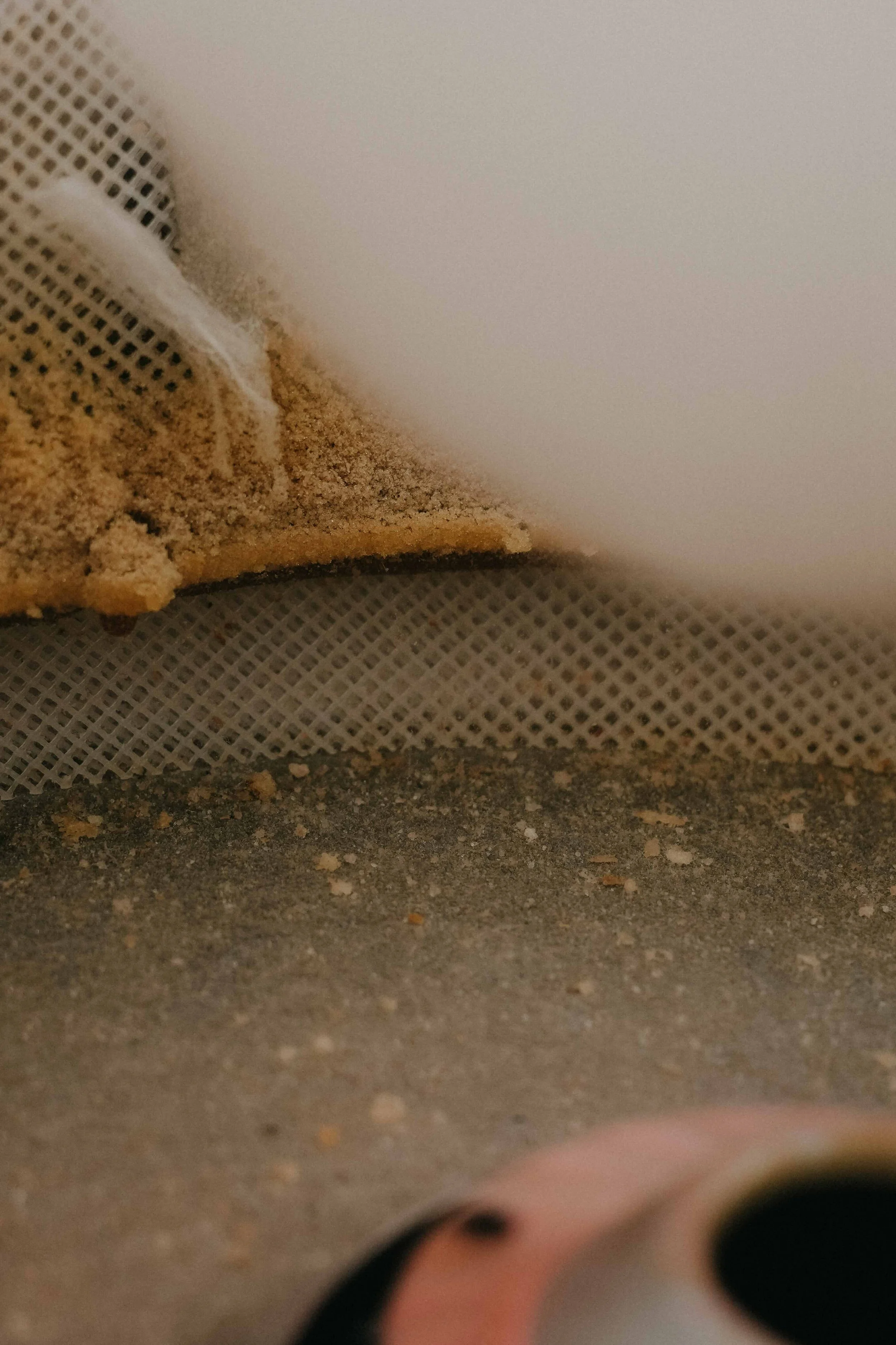 FLOSSIES-September 07, 2025--13-16.jpeg