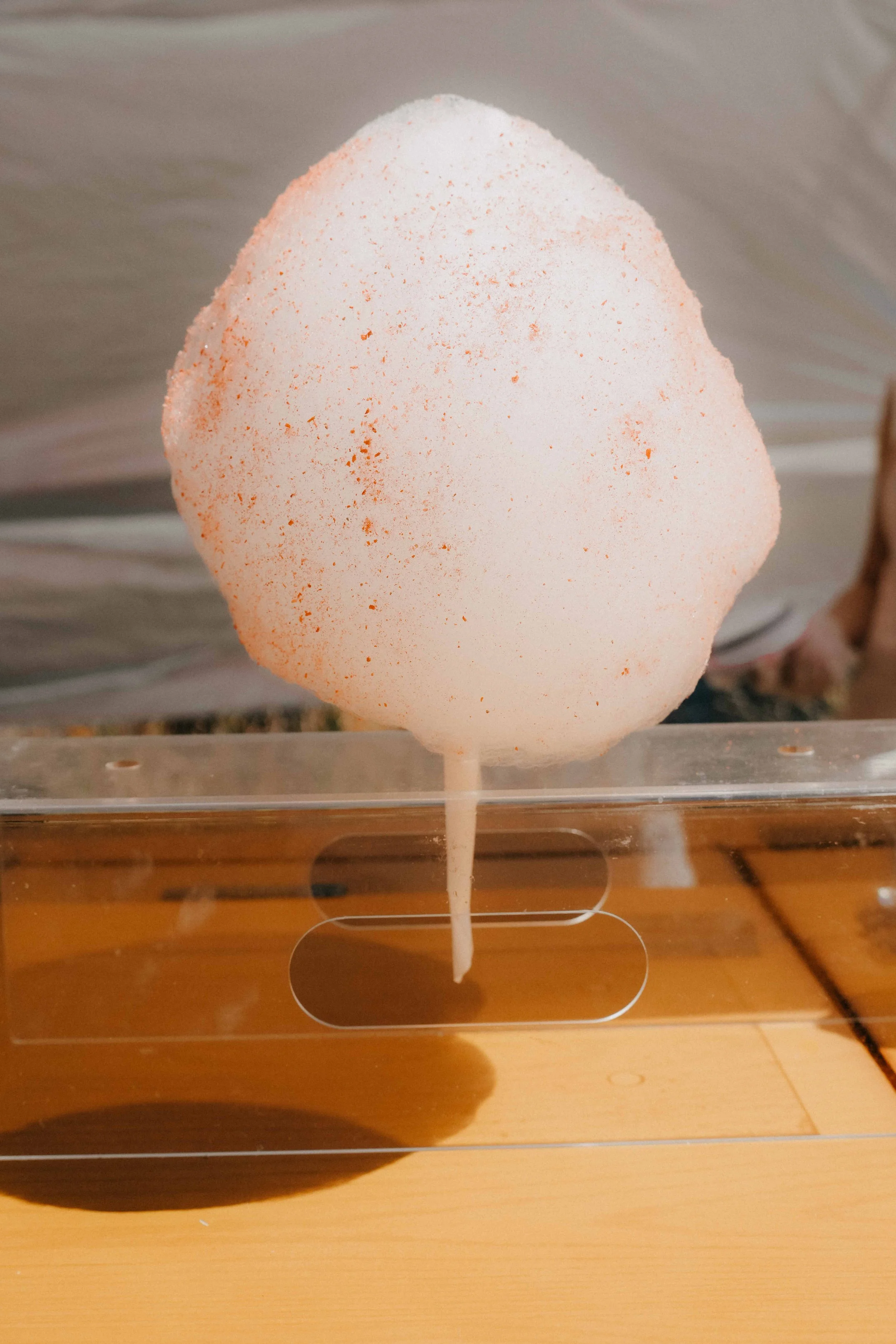 FLOSSIES-September 07, 2025--13-17-2.jpeg