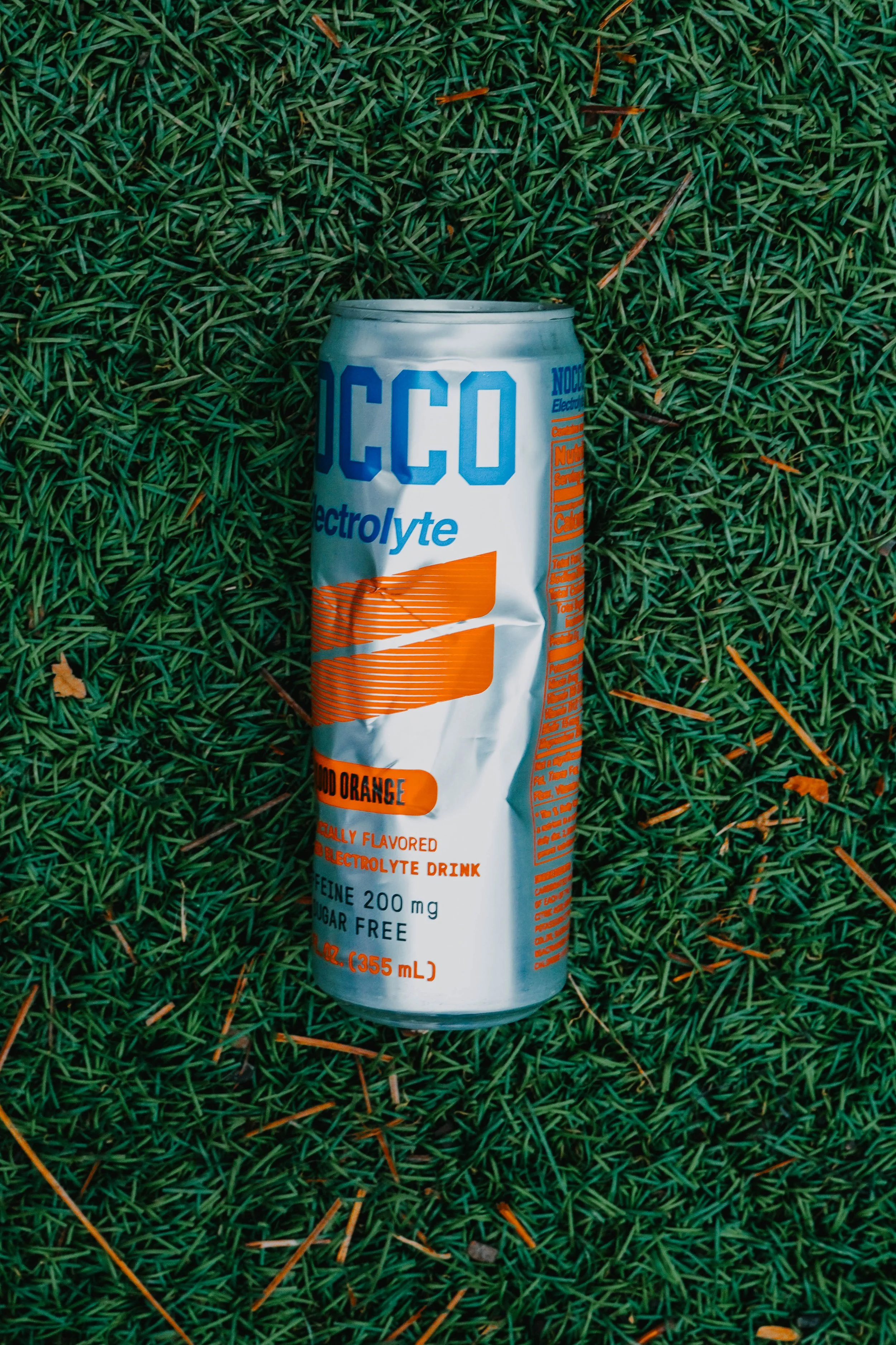 runeasywellsocialrawdawgJanuary 24, 2026-63.JPG