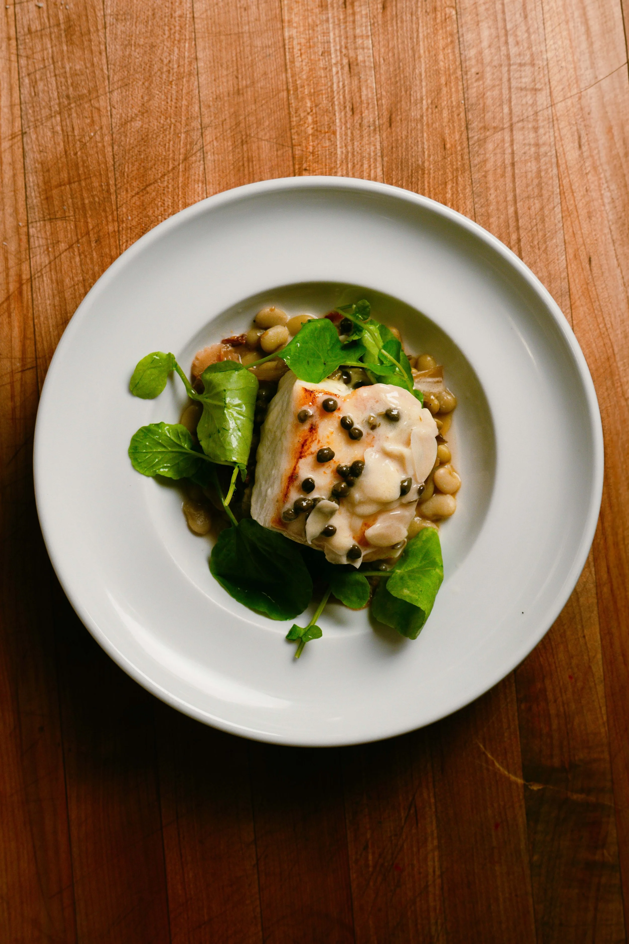 PENDOLINO -October 23, 2025--19-28-3.jpeg