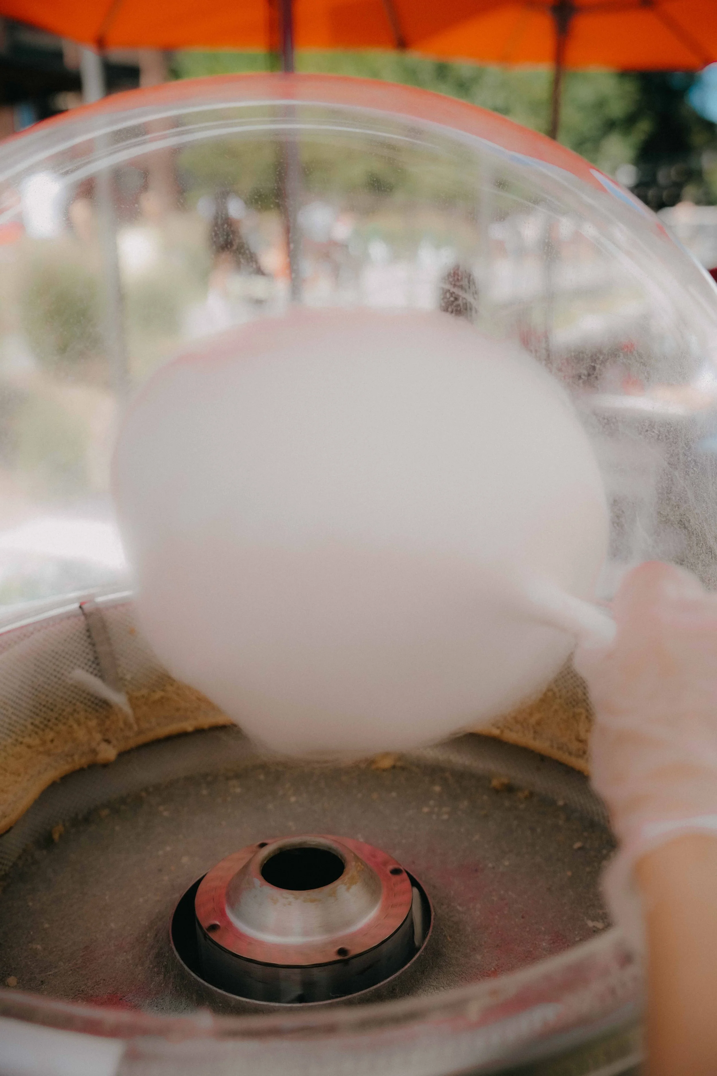 FLOSSIES-September 07, 2025--13-15-7.jpeg