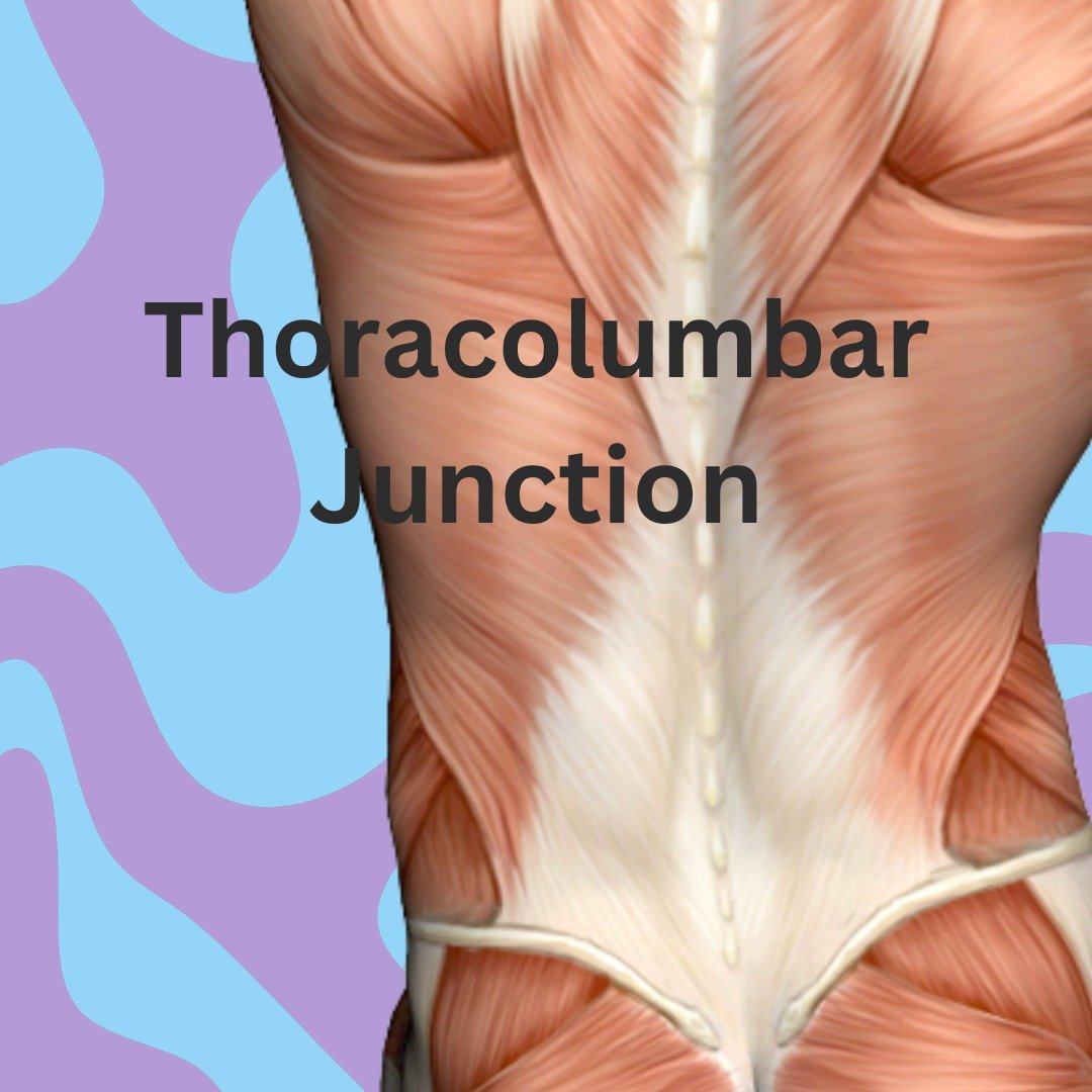 Pain or stiffness through the mid-to-lower back &mdash; that spot where the ribs meet the lumbar spine &mdash; is one of the most common areas I see clients struggle with. It&rsquo;s often described as a dull ache, a feeling of compression, or tightn