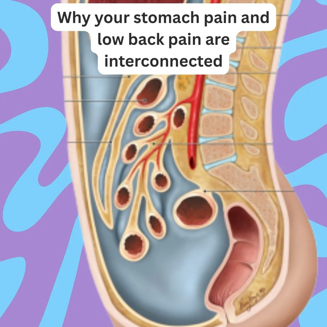 Many clients come in with a combination of low back pain and digestive discomfort &mdash; bloating, cramping, or IBS symptoms that seem to flare up together. It&rsquo;s easy to treat them as separate problems, but in reality, they&rsquo;re deeply int