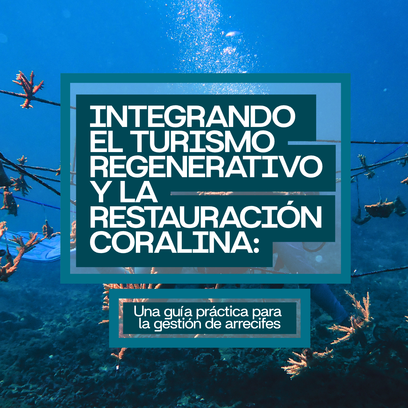 Protocol: Integrating Regenerative tourism and coral restoration