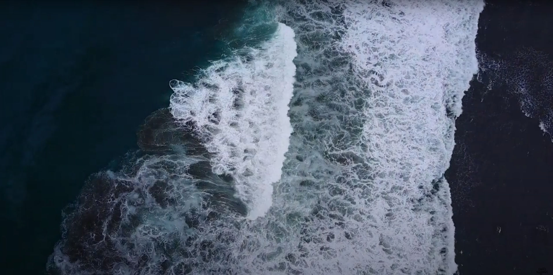Documentary: Human-Coral Symbiosis