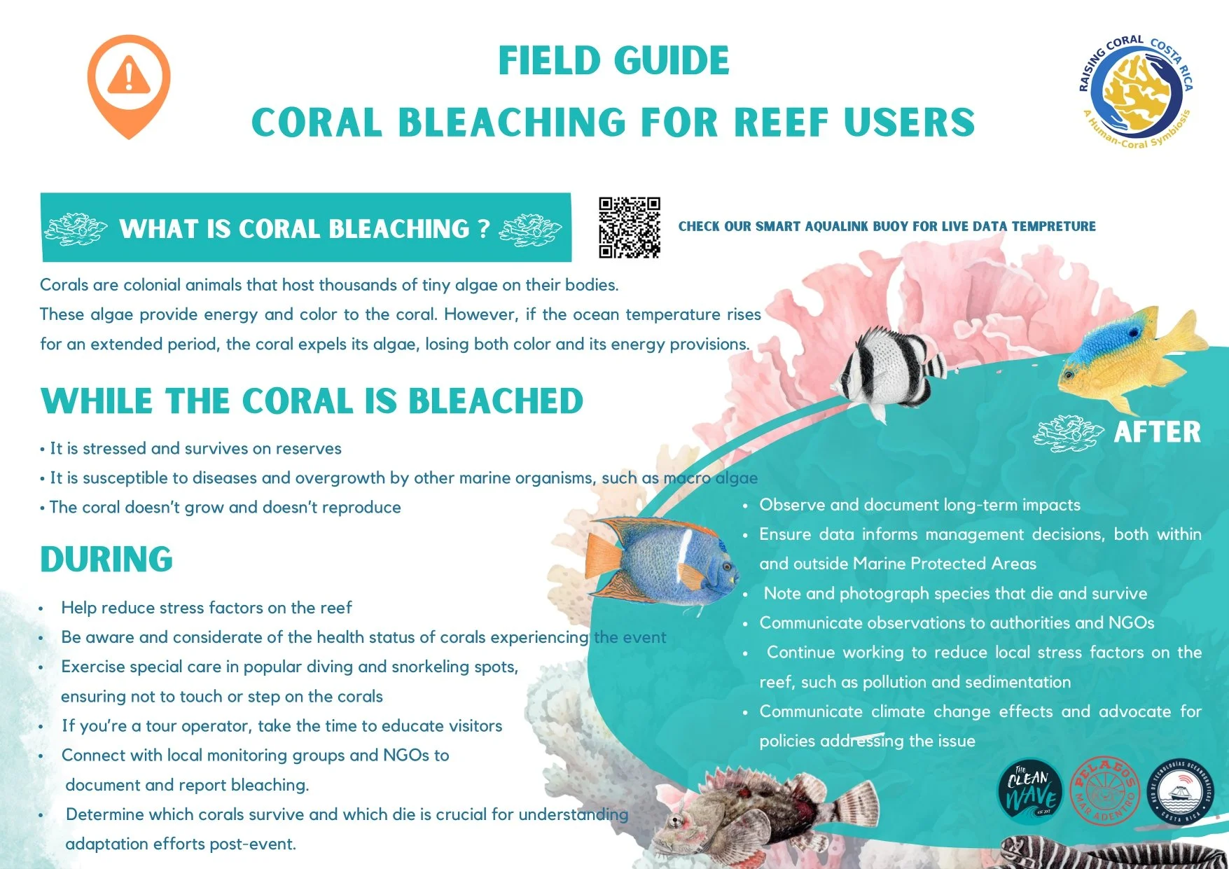 Field Guide: Coral Bleaching for Reef Users