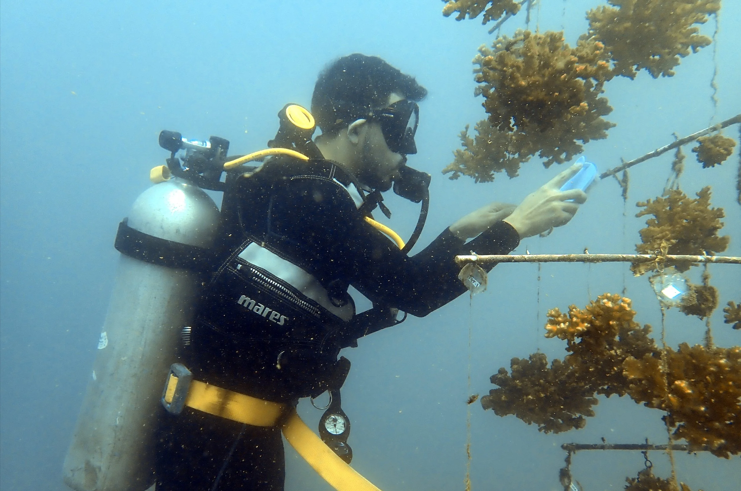 Documentary: Introduction to Raising Coral