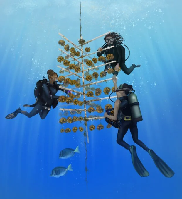 Documentary: Rebuilding the Coral Reefs of Golfo Dulce