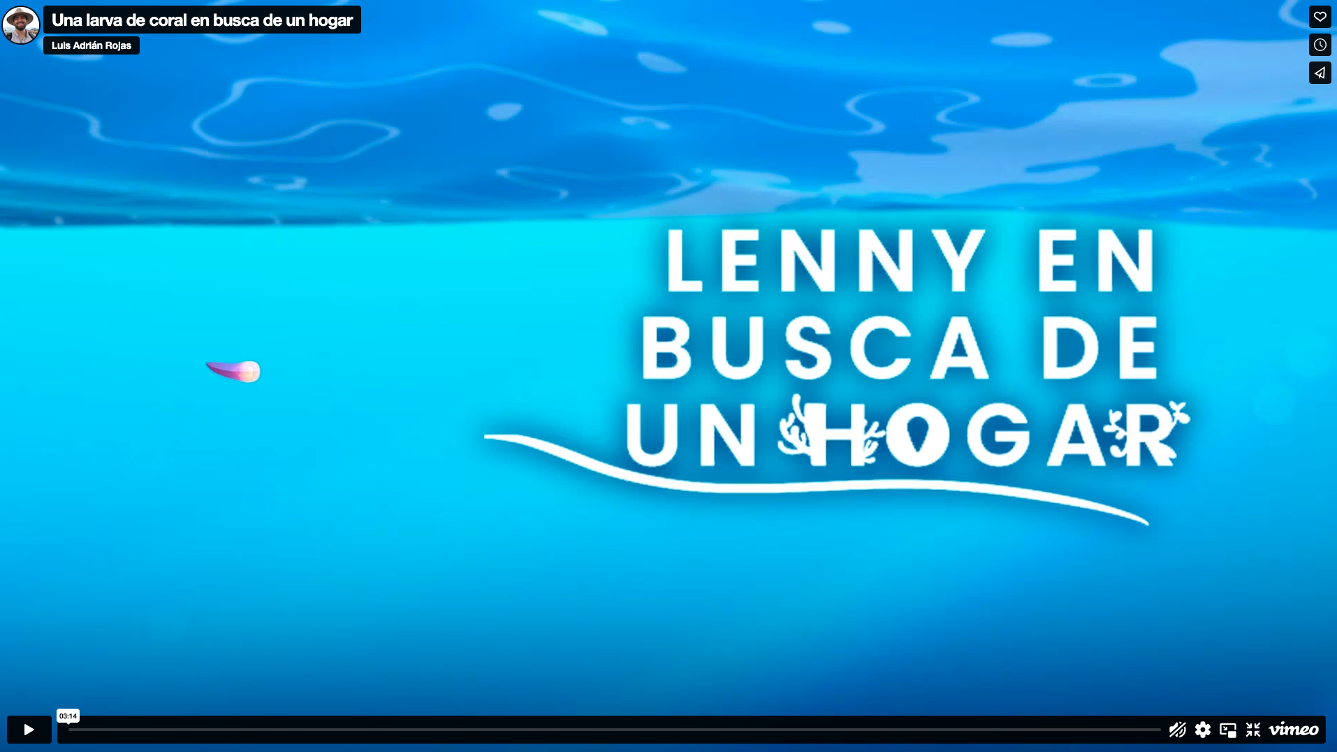 Short film: Lenny, the coral larvae