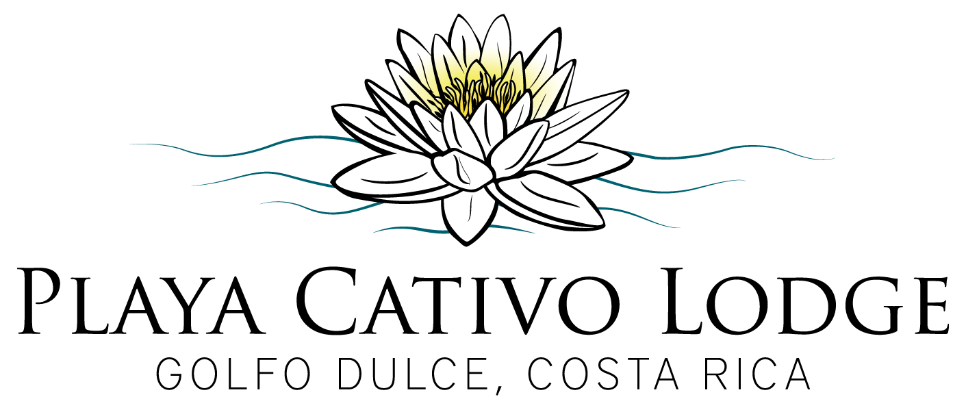 LOGO PLAYA CATIVO LODGE ( PNG ) (1).png