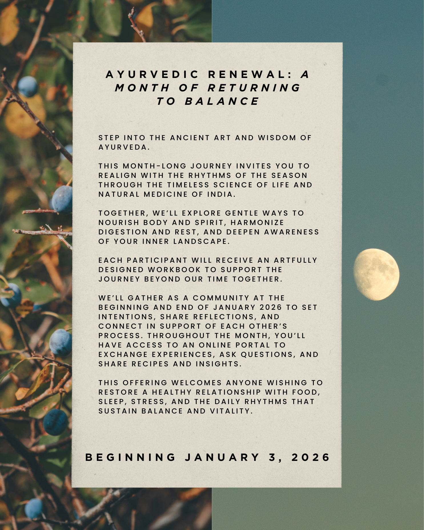 Ayurvedic Renewal: A Month of Returning to Balance | January 2026