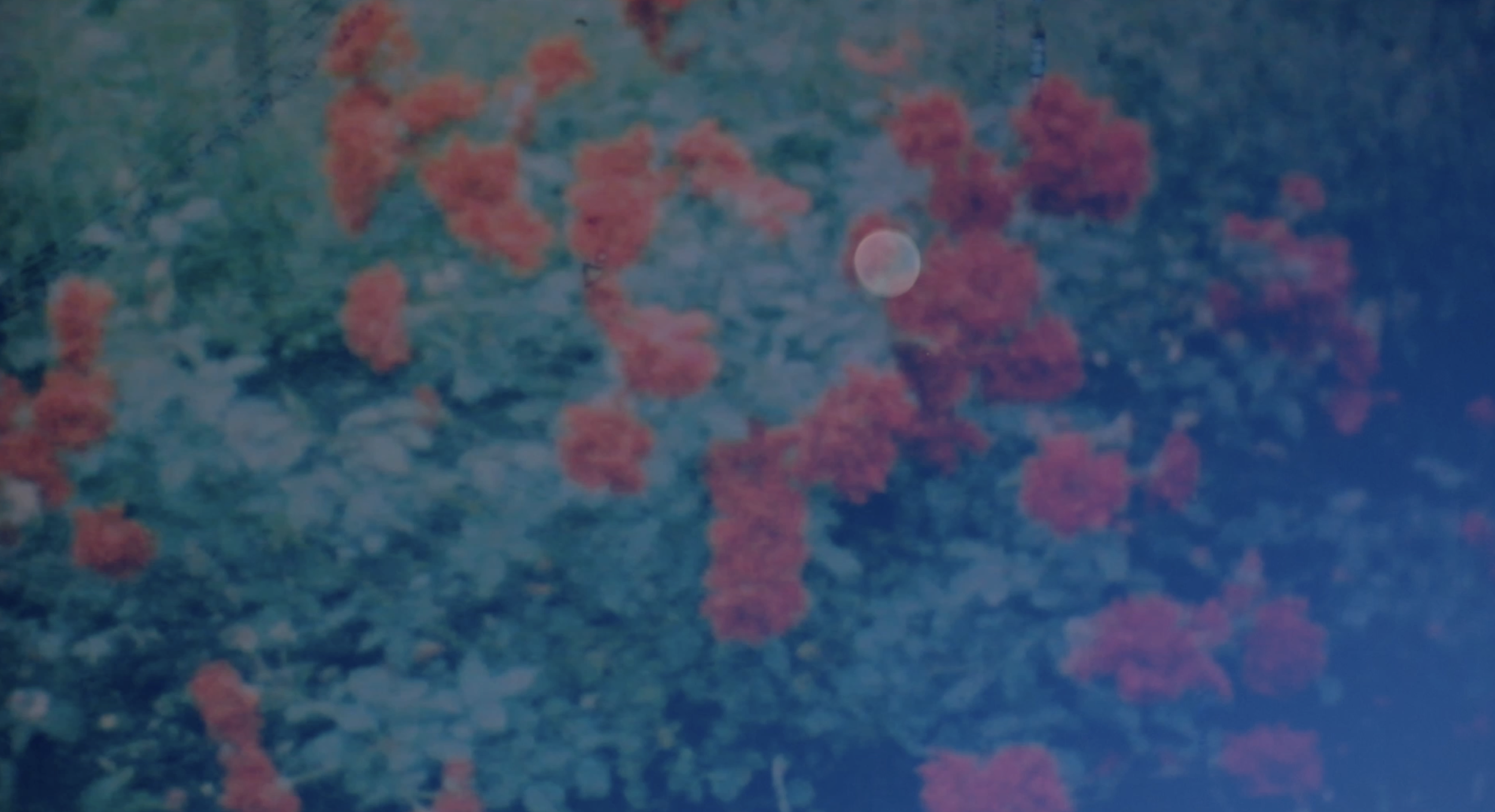 Screenshot 2026-01-26 at 12.27.32 PM.png