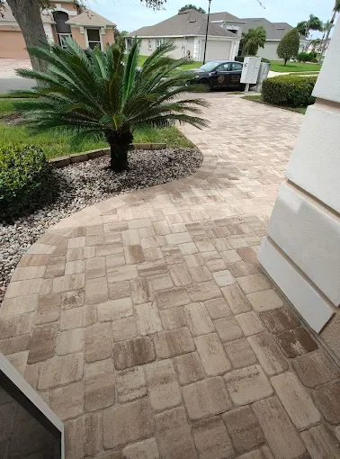 Paved walkway with a small palm tree, surrounded by gravel, next to a white building and residential houses in the background.