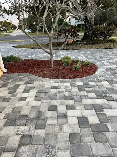 A landscaped area with mulch and small plants surrounded by a paved walkway with interlocking gray stones.