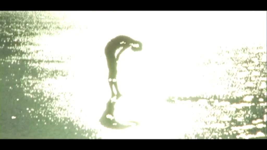 ReLotus_04.jpg
