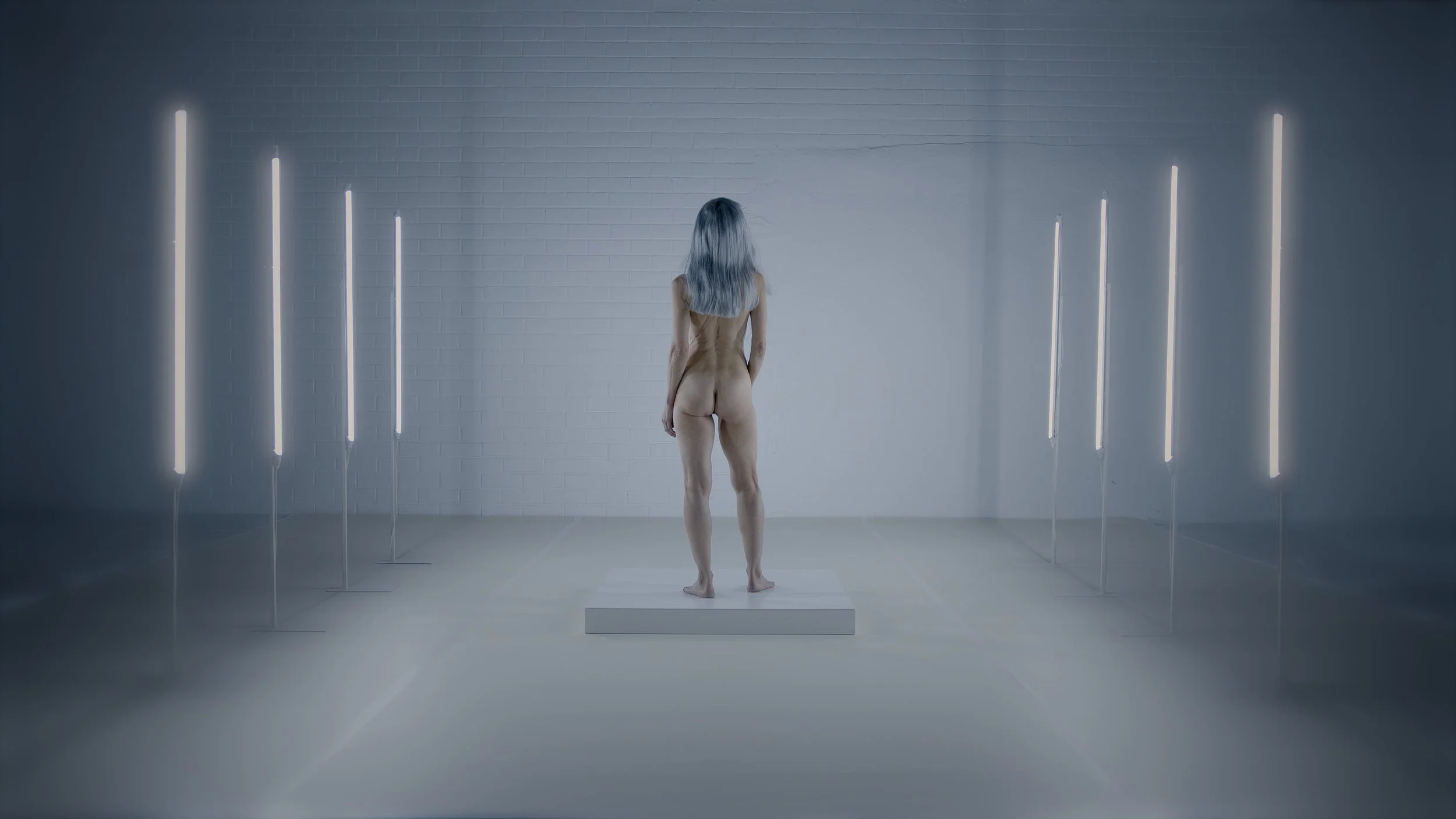 Opus_16.jpg