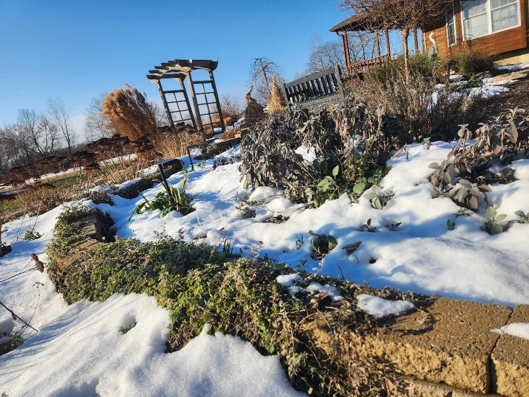 Patio Pondering: Production Numbers, the Phantom Menace