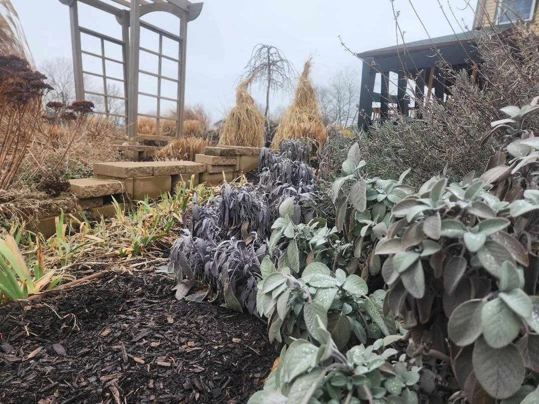 Patio Pondering: Finding the Sweet Spot