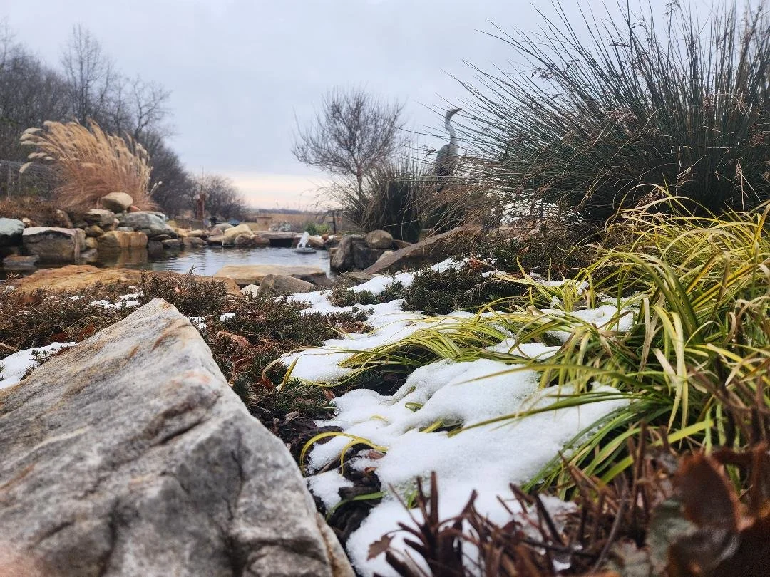 Patio Pondering: Closed-Door Decisions, Open-Air Consequences