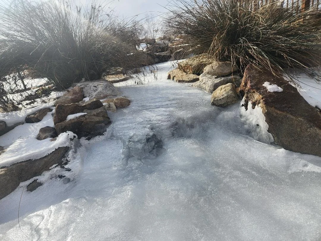 Patio Pondering: Something Feels Different This Year