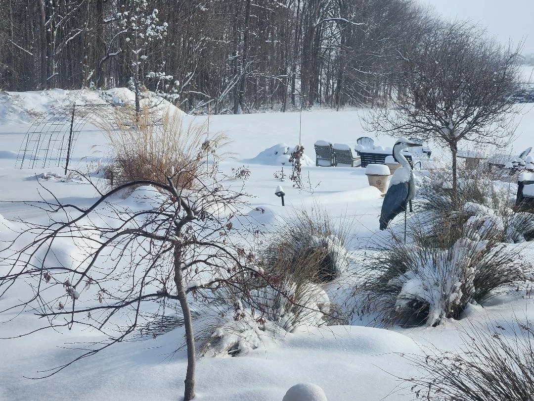 Patio Pondering: Trust Me, I Work With Pigs!
