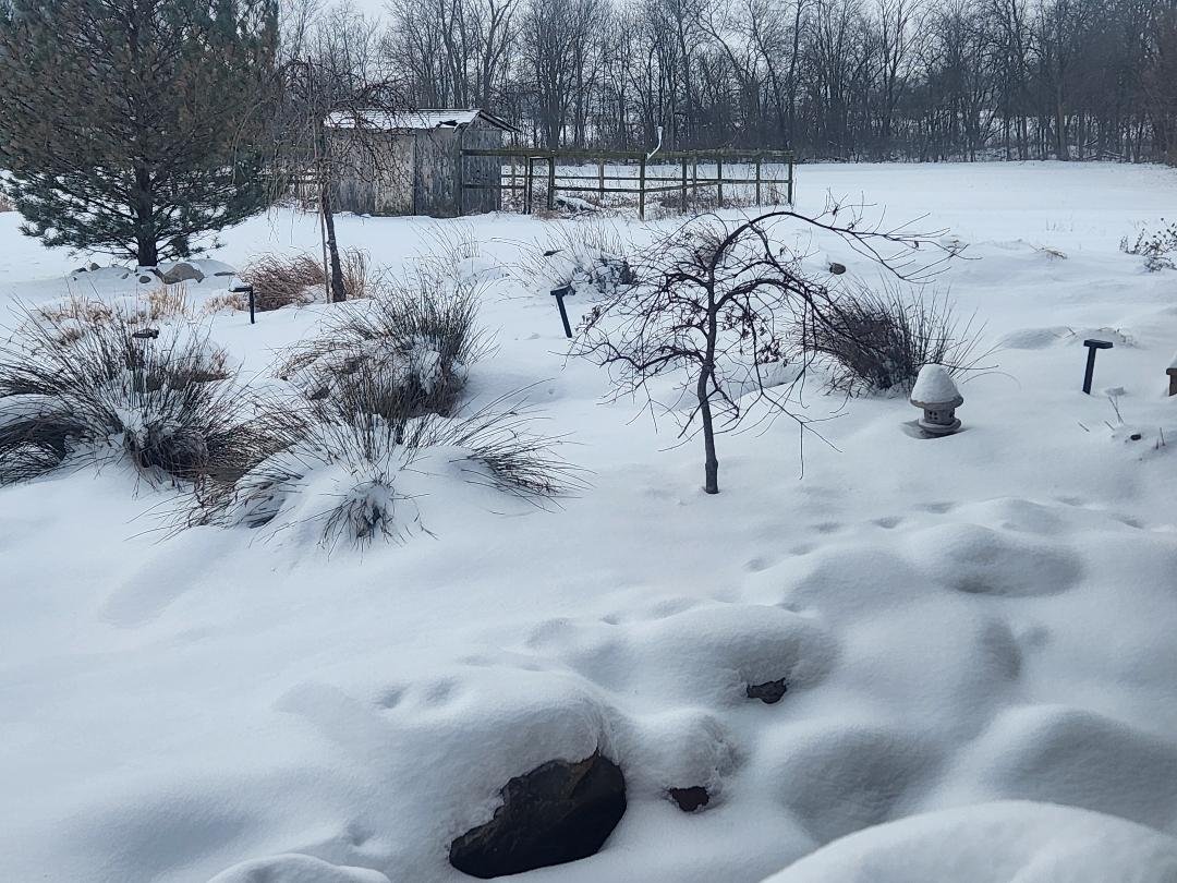 Patio Pondering: Figuring It Out Together, Separately