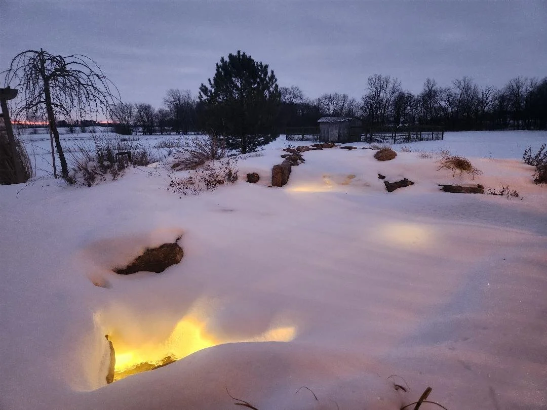 Patio Pondering: How Dare You Use a Thesaurus