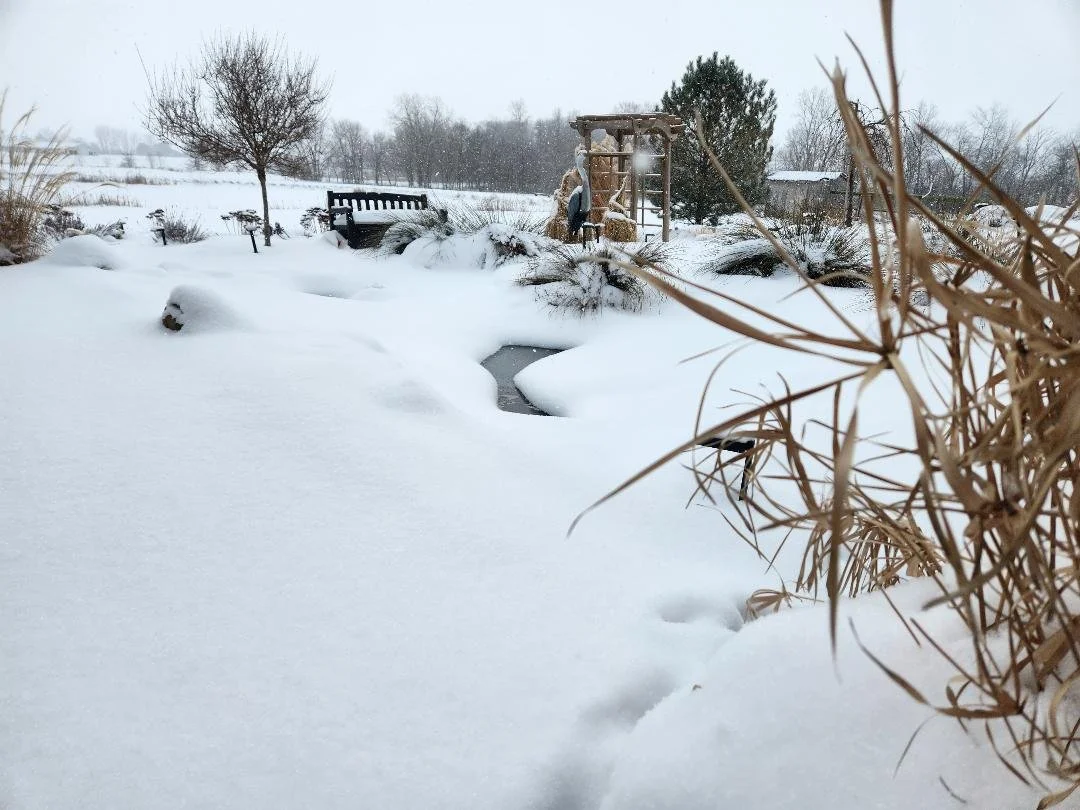 Patio Pondering: Different Quiets