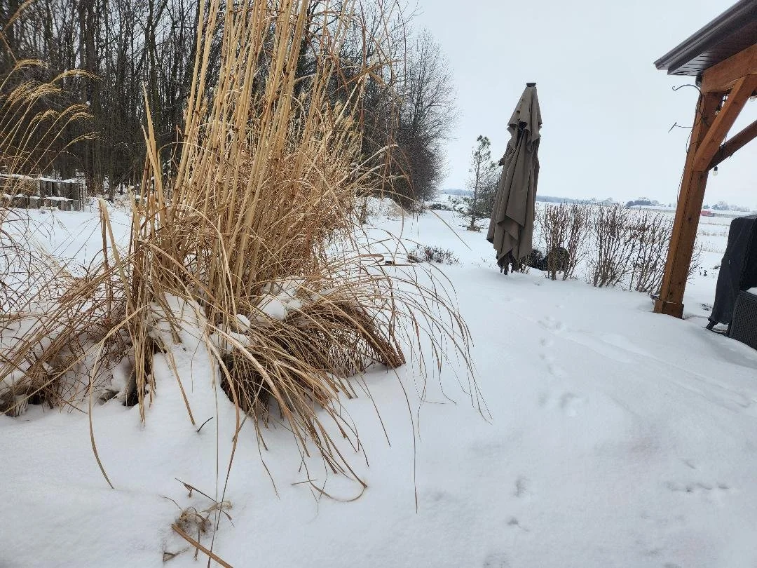 Patio Pondering: Friday Night Fundamentals