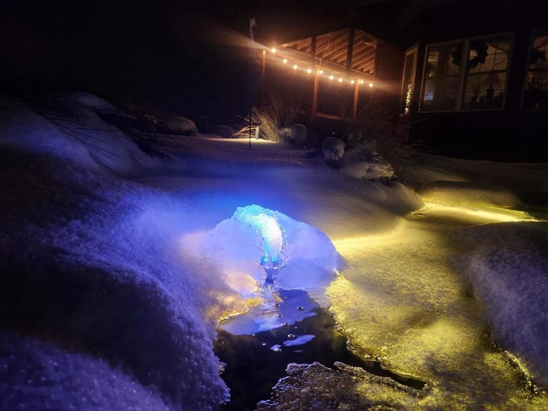 Patio Pondering: Still Waiting for Transparency