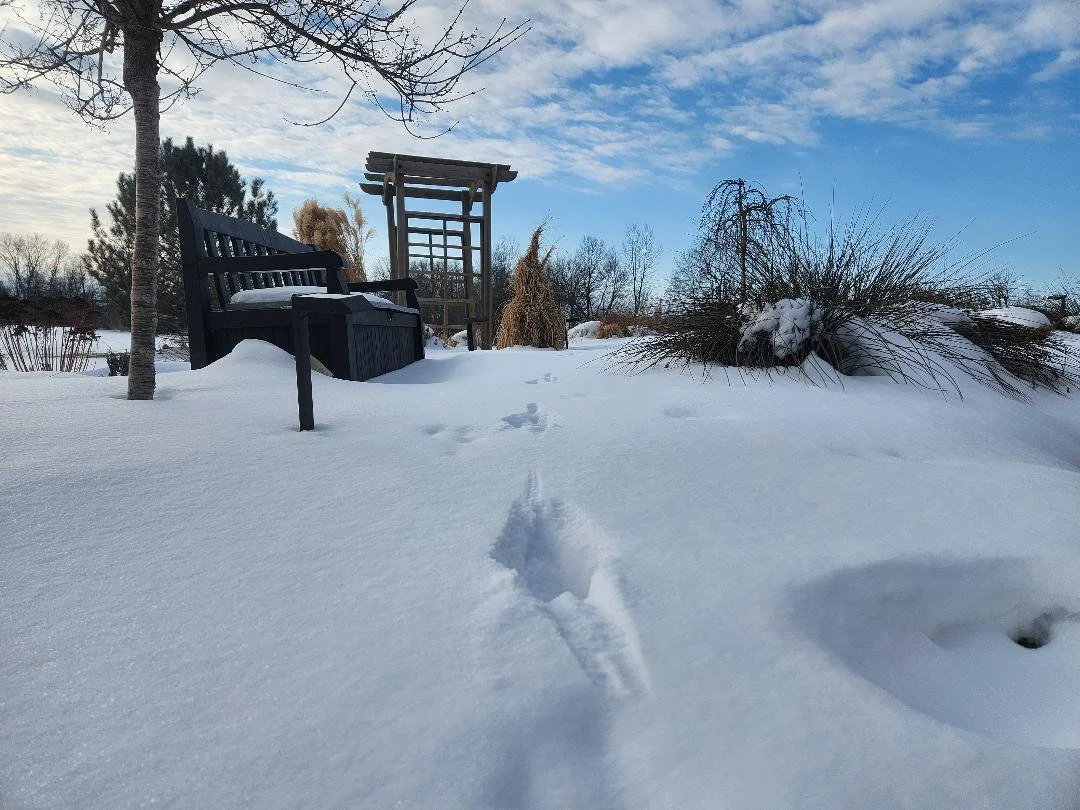 Patio Pondering: What do you mean you didn't know?