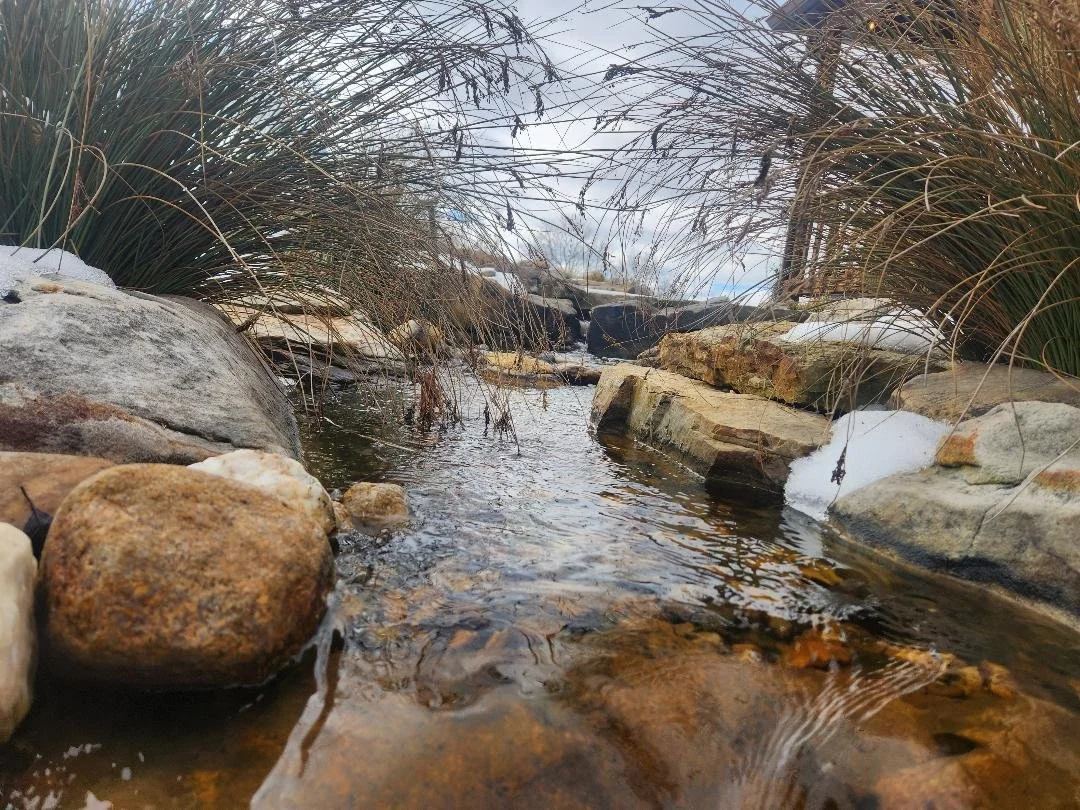 Patio Pondering: The Narrative Said They Lost. They WON!