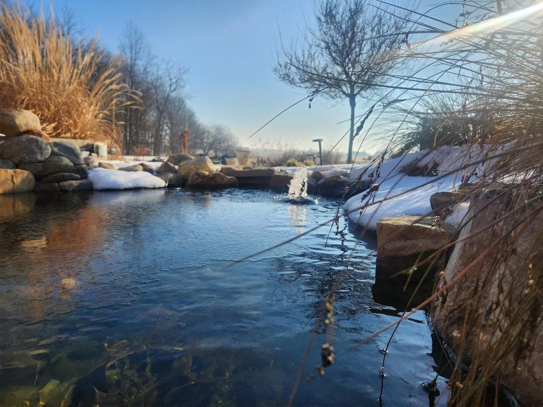 Patio Pondering: Willie the Wildcat, a Microphone, and The Pressure Vessel