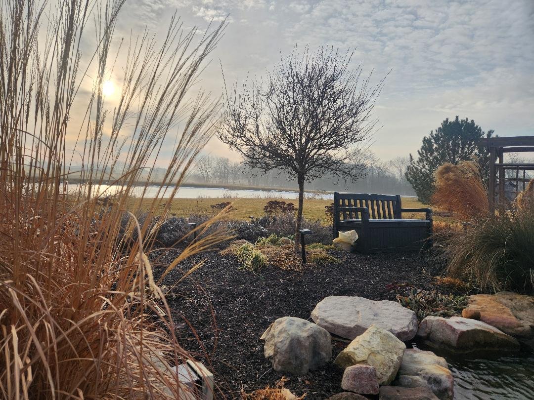 Patio Pondering: Transparency Is Proven in the Records