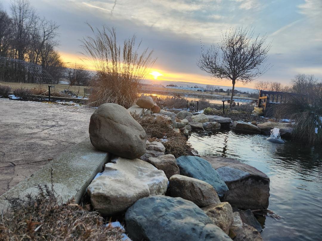 Patio Pondering: When a Beef Girl Buys Pork